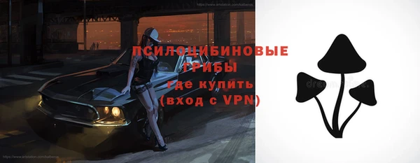 спиды Михайловск