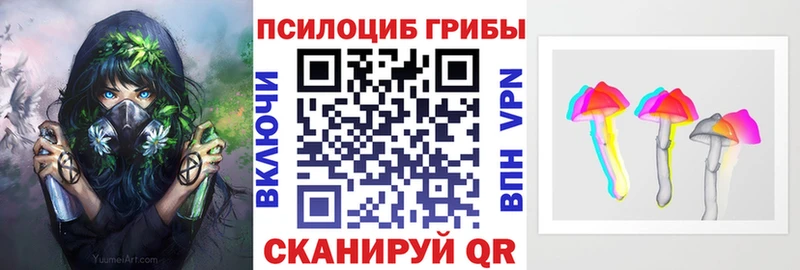 купить закладку  Зуевка  Псилоцибиновые грибы мухоморы 